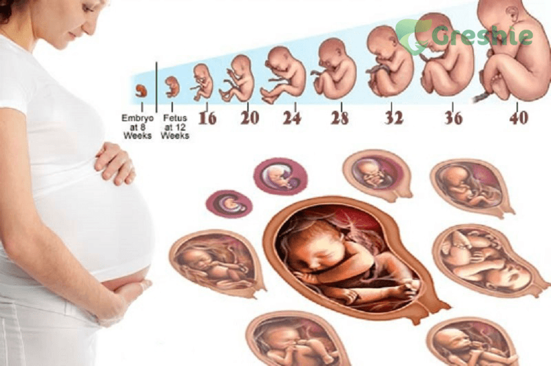 Tại sao bà bầu cần bổ sung canxi? Tầm quan trọng và cách bổ sung đúng cách Canxi là thành phần chính cấu tạo nên hệ xương và răng của bé ngay từ khi còn trong bụng mẹ