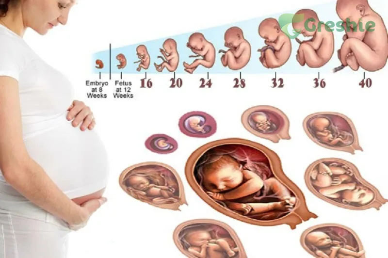 Tại sao bà bầu cần bổ sung canxi? Tầm quan trọng và cách bổ sung đúng cách Canxi là thành phần chính cấu tạo nên hệ xương và răng của bé ngay từ khi còn trong bụng mẹ