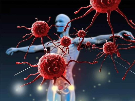 20190923 062438 307907 What Are The Surpri max 1800x1800 jpg 7c267559df