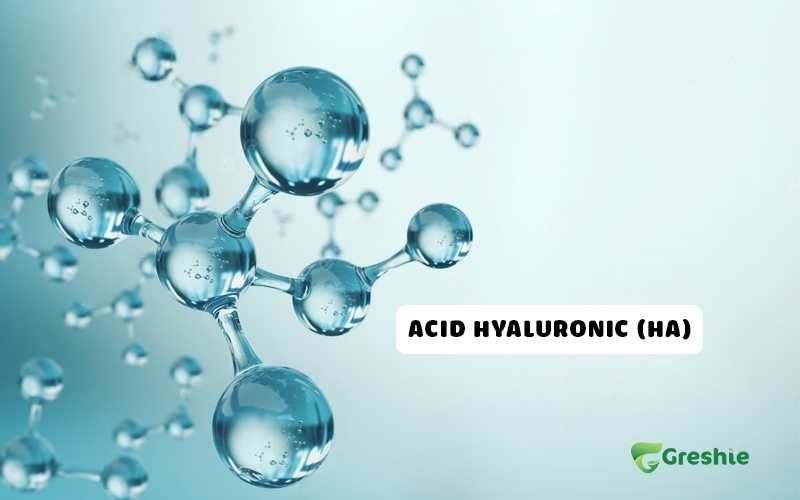 Acid Hyaluronic
