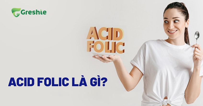 Axit Folic la gi