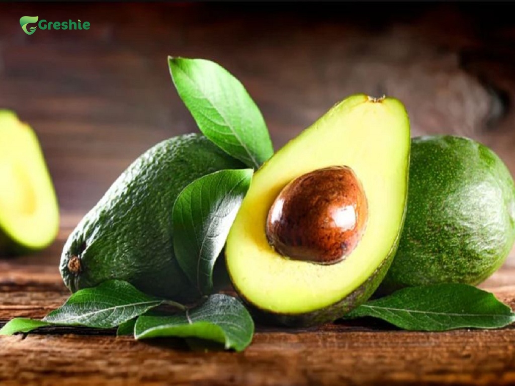 Bo Cung Cap Chat Beo Lanh Manh