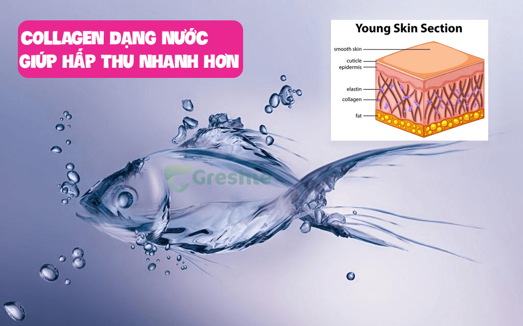 Collagen Dạng Nào Tốt Nhất? Cách Lựa Chọn Collagen Hiệu Quả Collagen dạng nước có ưu điểm hấp thụ nhanh chóng và dễ dàng vào cơ thể.