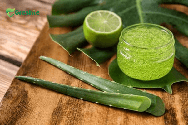 Cach lam nha dam duong da Mat Na Nha Dam Va Chanh