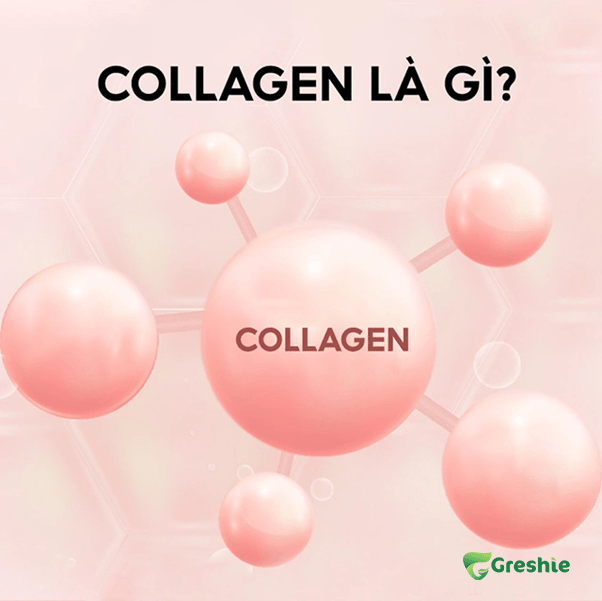 Collagen la gi