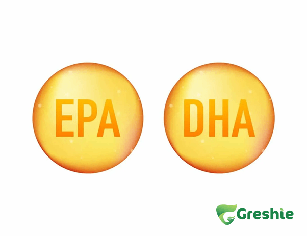 DHA va EPA la gi