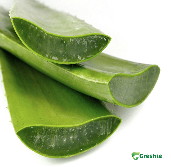 Gel Nha Dam Nguyen Chat