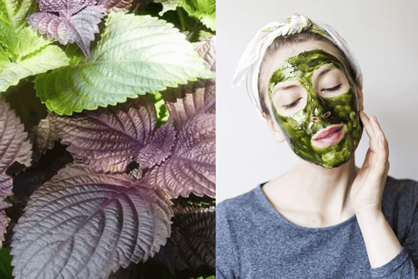 Lam mat na duong da tu la tia to