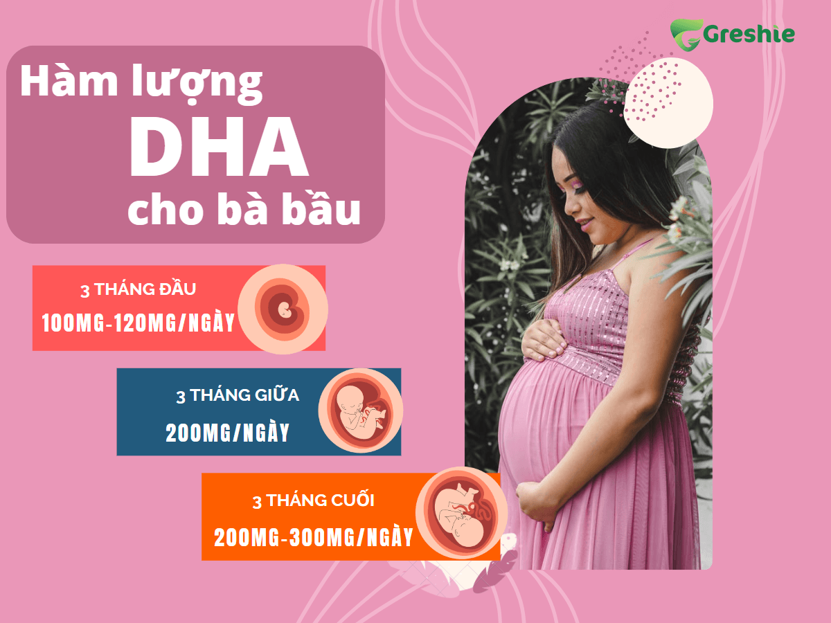 Lieu Luong DHA Can Thiet Cho Ba Bau