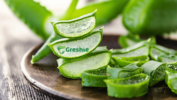 Loi Ich Cua Nha Dam Duong Da