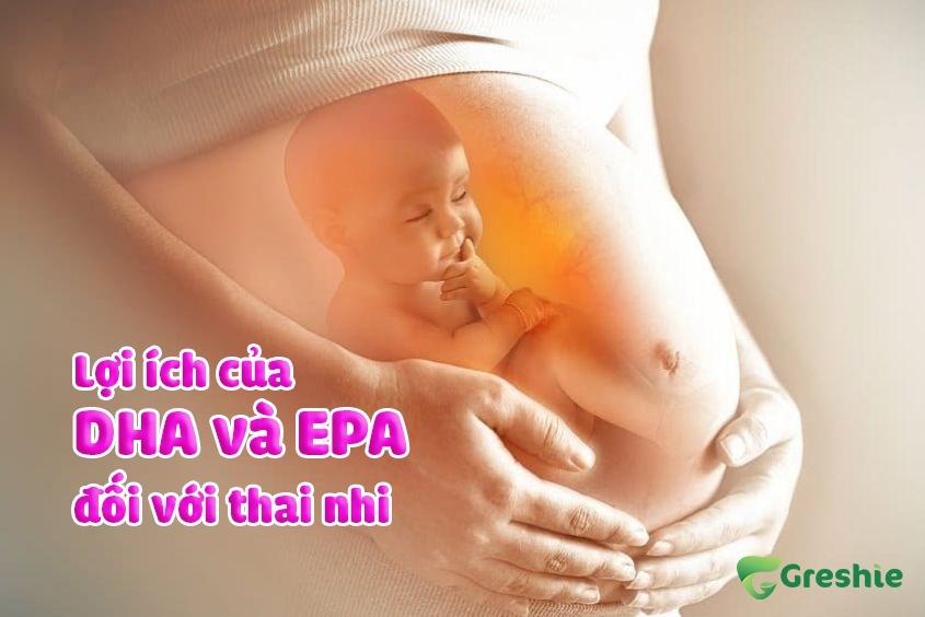DHA và EPA từ dầu cá – Dưỡng chất vàng cho mẹ bầu và thai nhi Loi ich cua DHA va EPA doi voi thai nhi