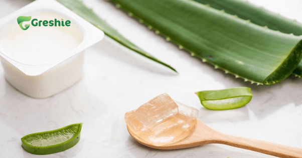 Mat Na Nha Dam Va Sua Tuoi