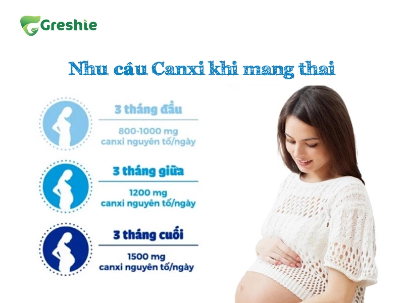 Nhu Cau Canxi Khi Mang Thai