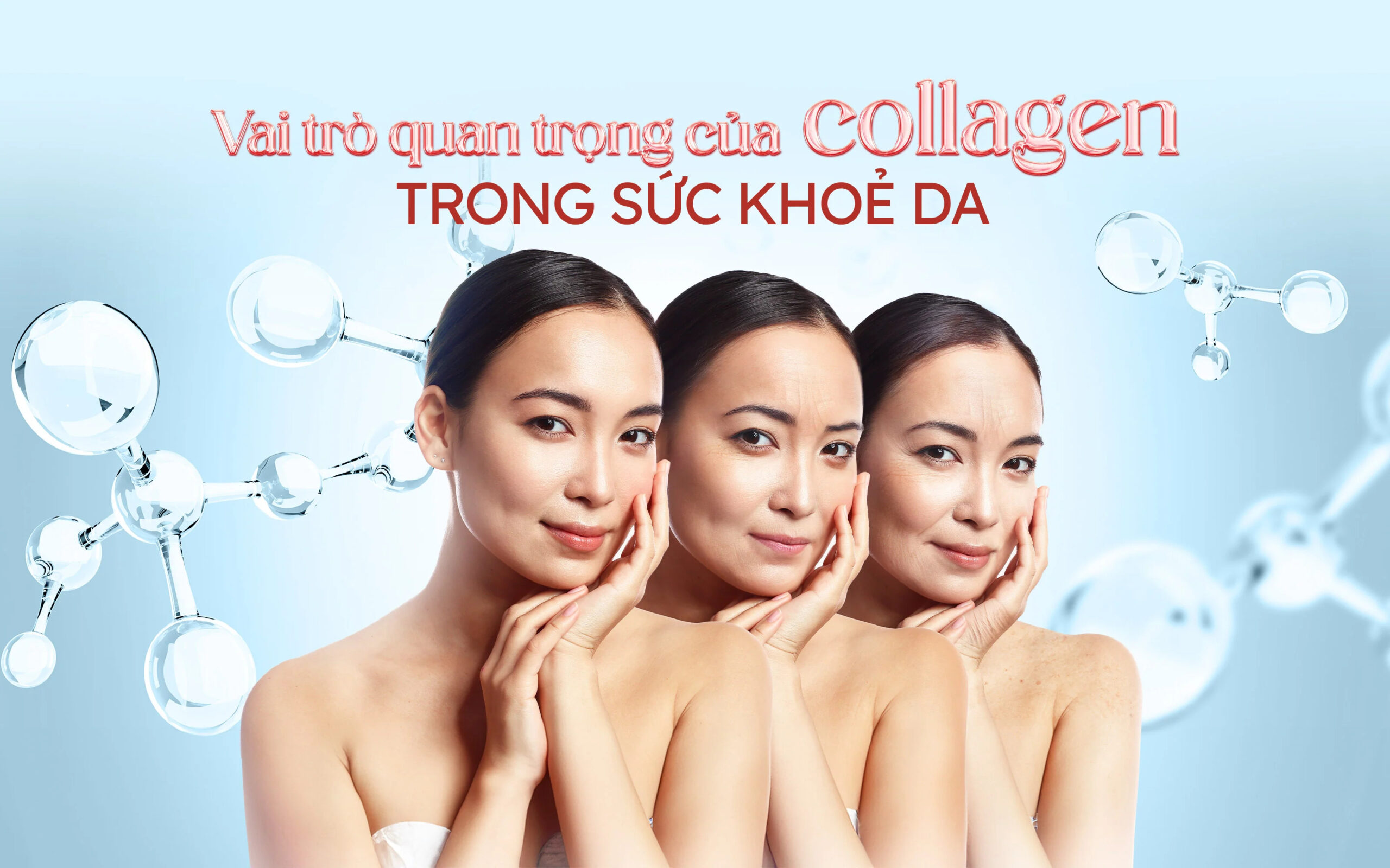 Nhung loi ich tong the cua collagen cho suc khoe scaled