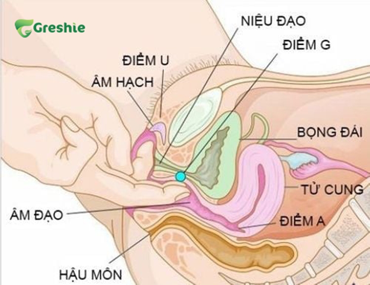 Nhung luu y quan trong khi dat thuoc phu khoa dung cach