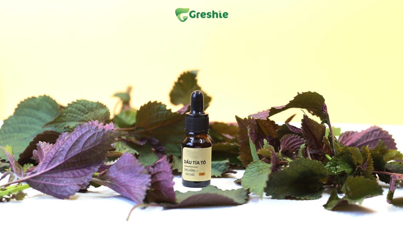 Su dung dau tia to nguyen chat