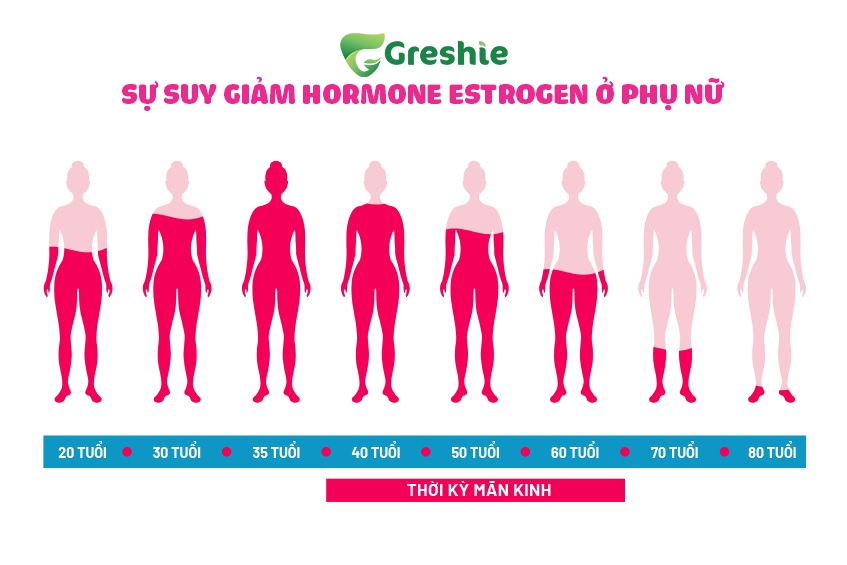 Su suy giam hormone estrogen o phu nu