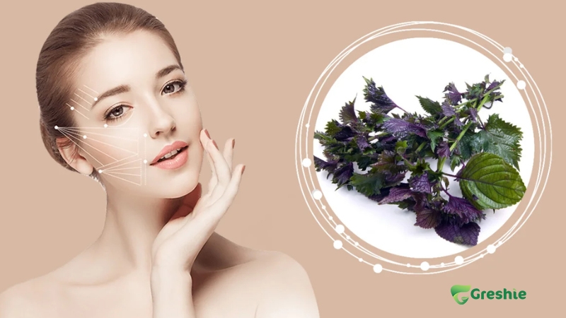 Tac dung lam dep cua tia to