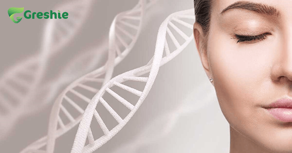 Tang Kha Nang Tai Tao Da