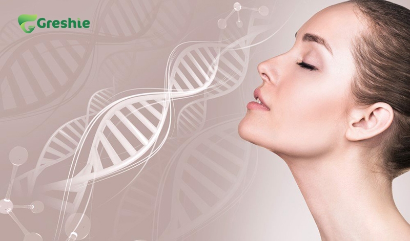 Tang Sinh Te Bao Moi Collagen Peptide Kich Thich San Xuat Fibroblast