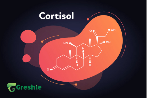 Cortisol