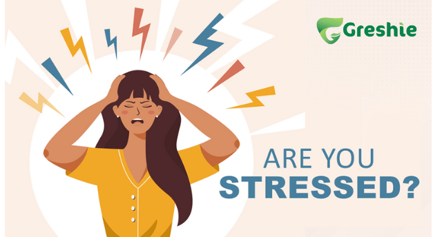 Thiet ke chua co ten 6