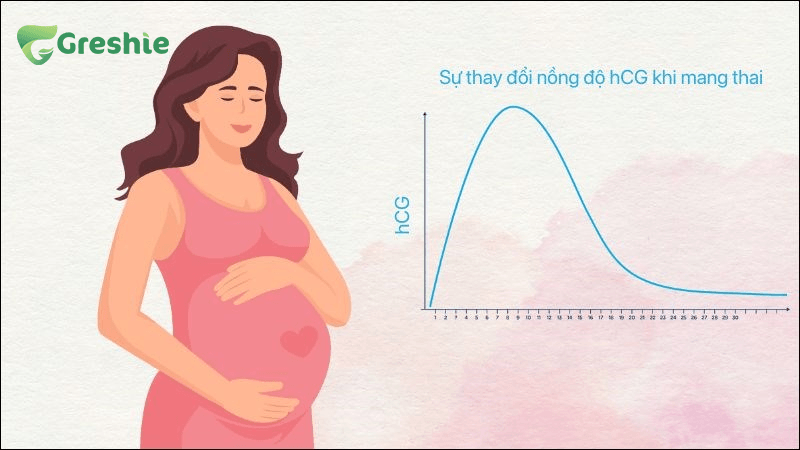 Ốm Nghén Khi Mang Thai: Nguyên Nhân, Triệu Chứng Và Cách Giảm Nhẹ Hiệu Quả Ốm nghén chủ yếu do sự thay đổi nội tiết tố trong cơ thể phụ nữ mang thai