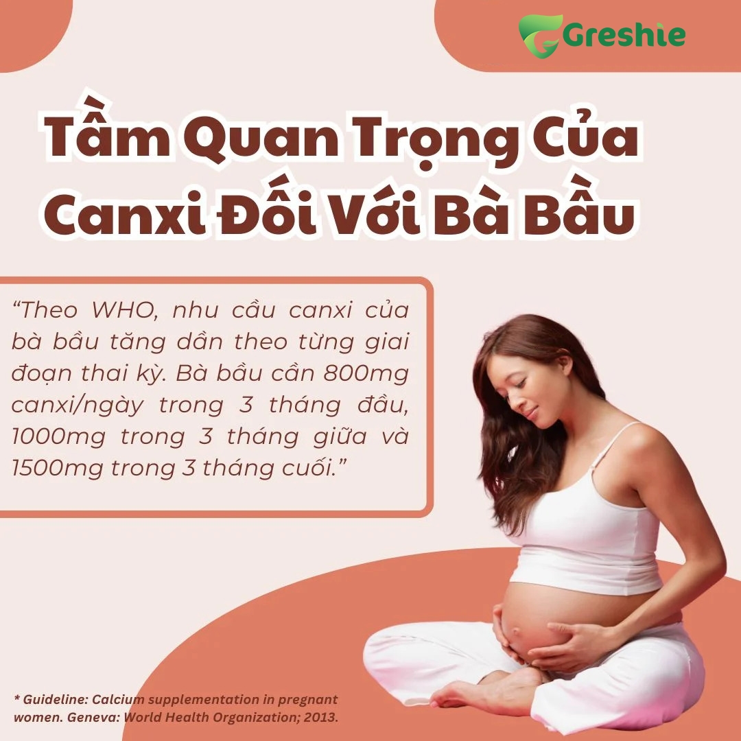 Vai Tro Cua Canxi Trong Thai Ky