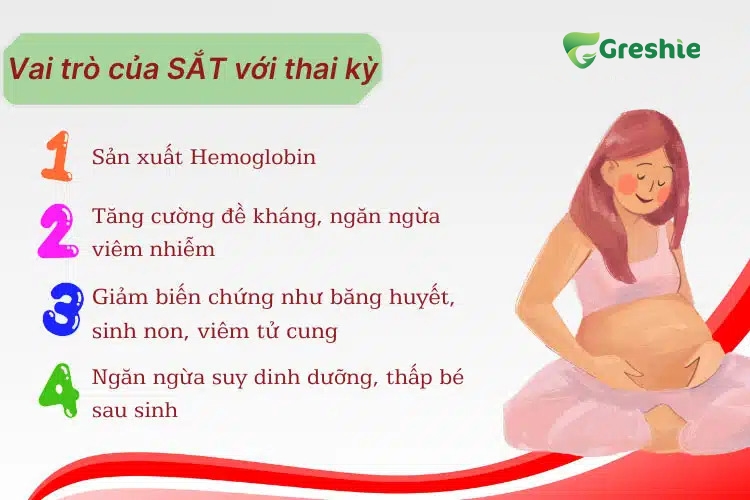 Vai Tro Cua Sat Trong Thai Ky