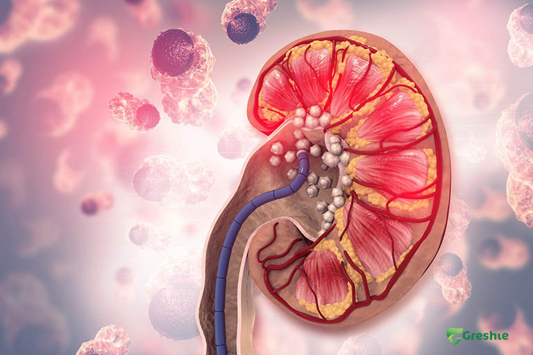 Vai tro cua than trong co the