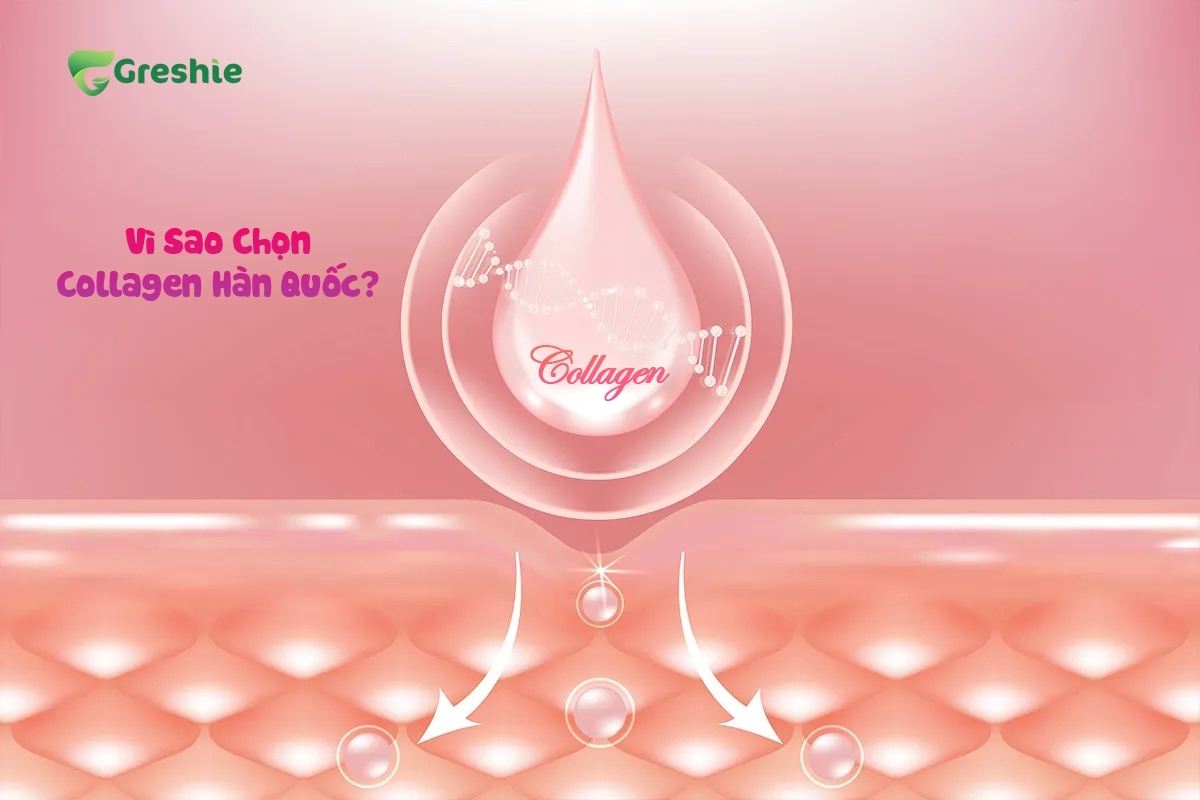 Vi Sao Chon Collagen Han Quoc