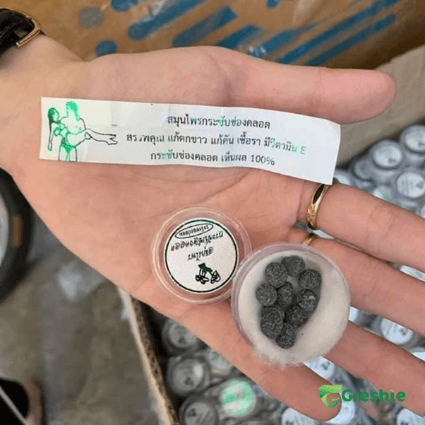 Vien Dat Se Khit Vung Kin