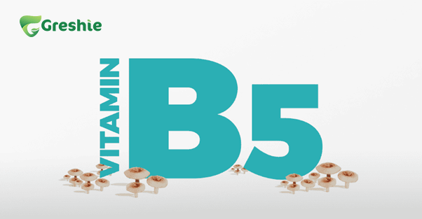 Vitamin B5 Panthenol hay Pantothenic Acid