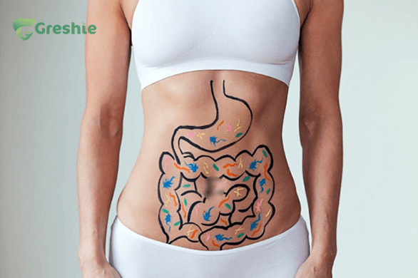 Collagen và Hệ Miễn Dịch: Collagen Có Lợi Ích Như Thế Nào Đối Hệ Miễn Dịch? Collagen giúp tăng cường độ bền của niêm mạc ruột, bảo vệ cơ thể khỏi vi khuẩn có hại