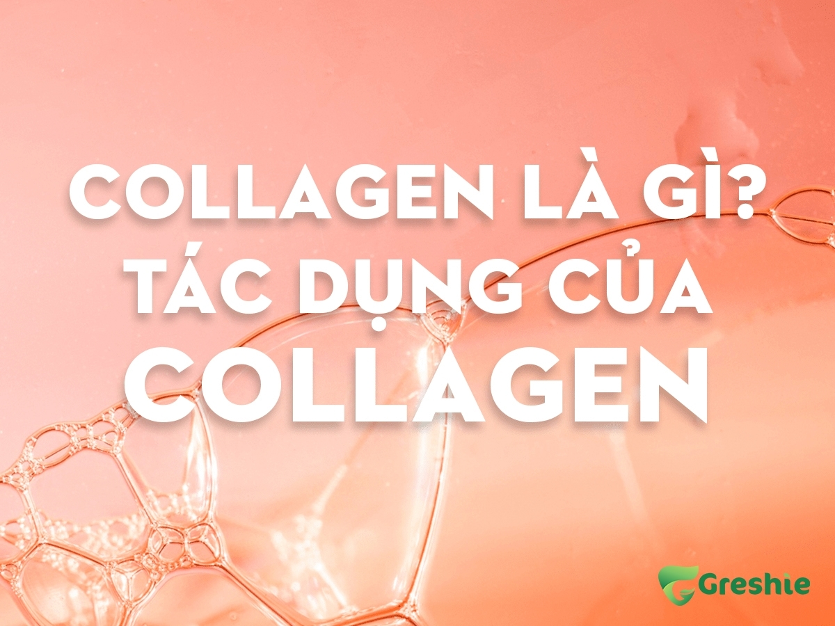 collagen la gi tac dung cua collagen min