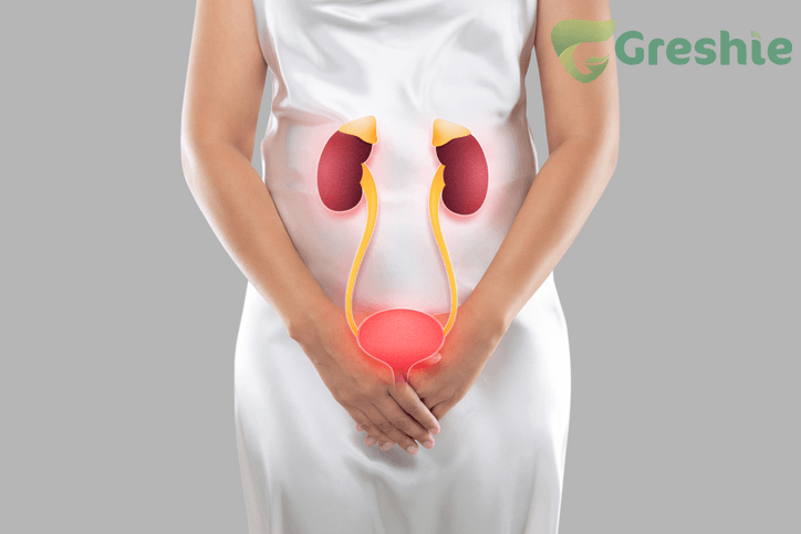 Tại Sao Mẹ Bầu Đi Tiểu Nhiều? Nguyên Nhân Và Giải Pháp Thận phải xử lý một lượng máu lớn hơn trong thai kỳ