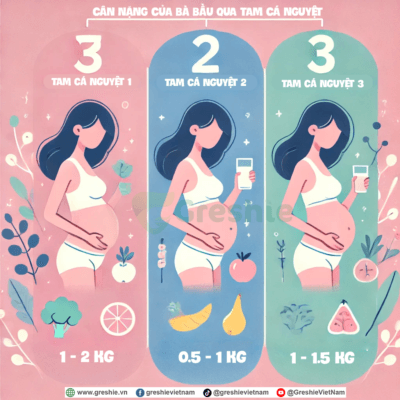 Bảng Cân Nặng Chuẩn Của Bà Bầu Qua 3 Tam Cá Nguyệt