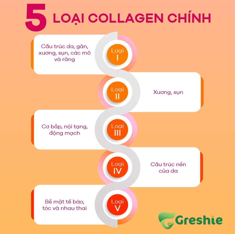 nen uong collagen dang nao 2