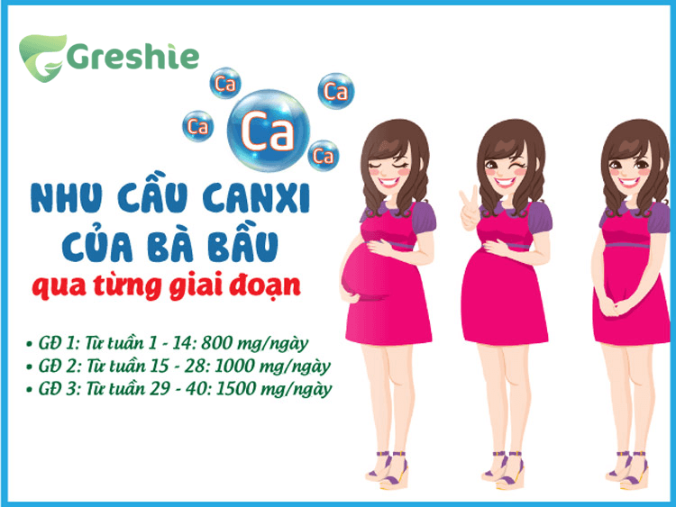 Tại sao bà bầu cần bổ sung canxi? Tầm quan trọng và cách bổ sung đúng cách Nhu cầu canxi trong mỗi giai đoạn thai kỳ là khác nhau