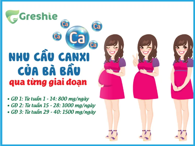 Tại sao bà bầu cần bổ sung canxi? Tầm quan trọng và cách bổ sung đúng cách Nhu cầu canxi trong mỗi giai đoạn thai kỳ là khác nhau